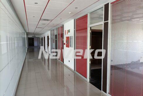 IMG20240524095942