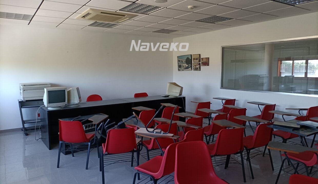 IMG20240524100149