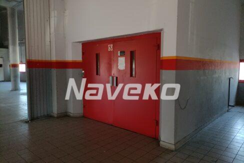 IMG20240524100840