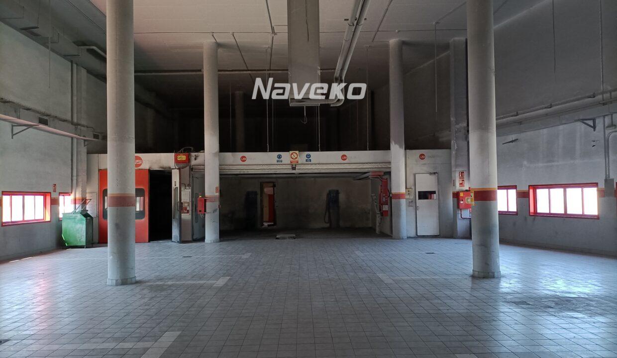 IMG20240524100850