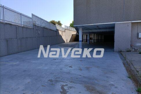 IMG20240524101537