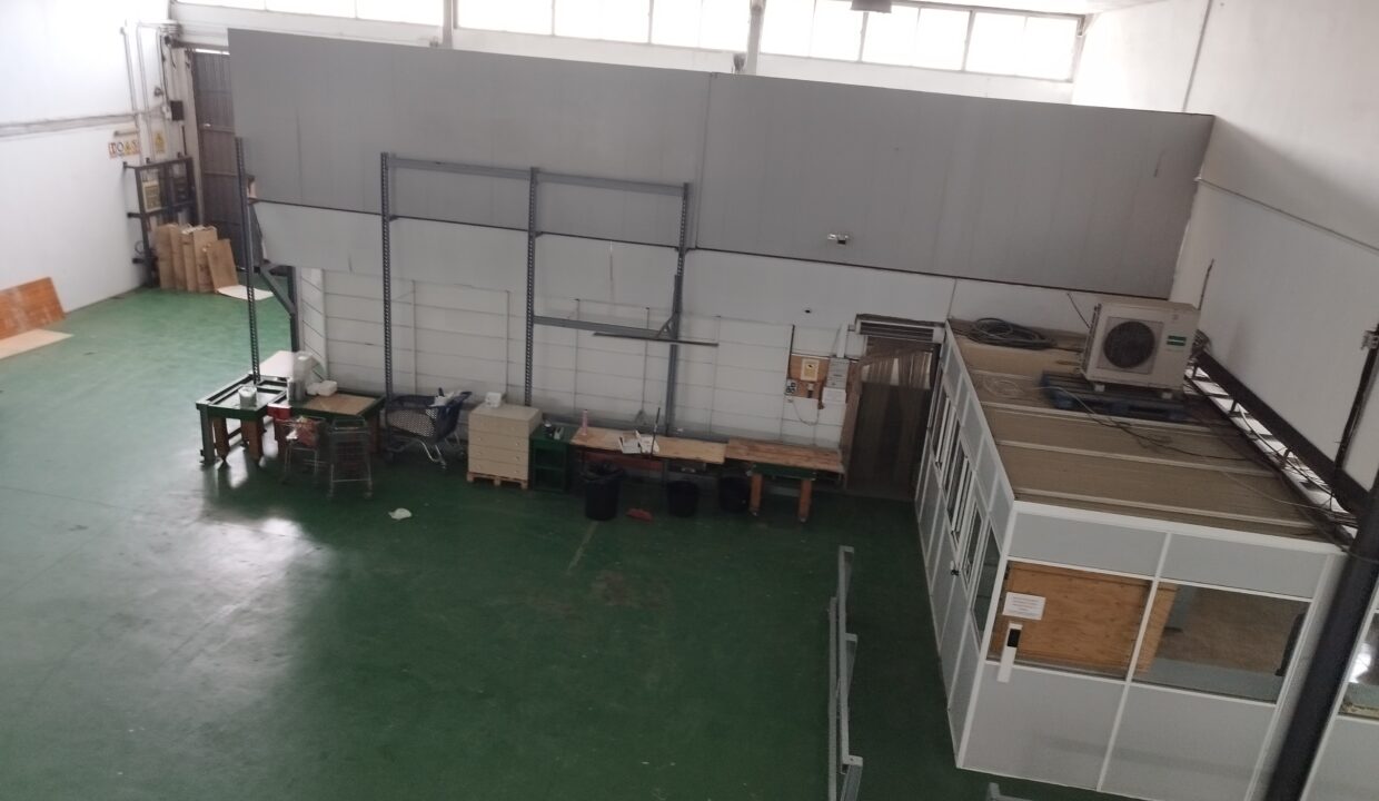 interior alzado