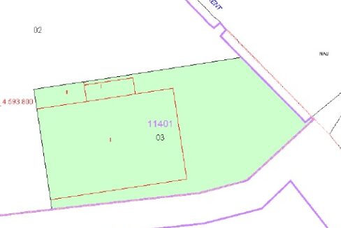 plano